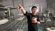 贵州90后“面食大王”，和母亲艰苦创办面粉厂，至今单身未婚