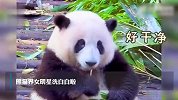 花花洗澡全国人民都知道了，网友：谭爷爷用了什么洗这么白