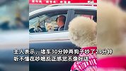 路上堵车半小时，两狗子隔窗吵架29分钟，主人旁观全程笑到不行