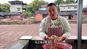 天气转凉，二妹今天煮了一大锅滑肉，和姐姐一起吃撑了