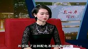 刘忠智：新型环保能源 初进中国市场
