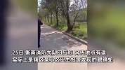 湖南一小区有人放生百条眼镜蛇？消防：已抓回来七八条，不确定是否故意