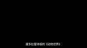 龙斌大话电影-科幻解码之《阿凡达》外星生命