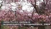 福建旅游和民宿行业“五一”倡议-诚信经营，杜绝恶意涨价等乱象