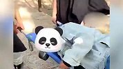 女子登山崴脚被巡山小妖抬下山，网友：享受了唐僧的待遇