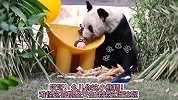 萌兰-丫丫姥姥！么么儿啃树枝卖惨