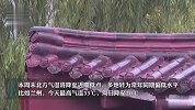 冷空气携大风沙尘侵袭北方 明起南方新一轮降雨上线