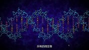 遗传学博士孟凡康：从乐高积木看合成生物学的奥秘