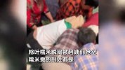 小区物业组织业主包粽子，粽叶糯米瞬间被阿姨们抢空，糯米撒一地