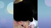 猫咪对北鼻暖心行为也抵不过一秒就抢了北鼻的食物走