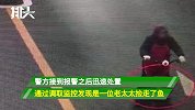 29斤河豚不见了，老板吓得赶紧报警，网友：吃出人命你也跑不了