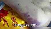 青岛被武术教练殴打死的8岁男童遗体火化，案件二审已于3月开庭