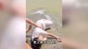 夫妻退潮时冒死跳海救溺水父女：想也没想，就要救人