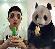 男子模仿大熊猫吃东西，神同步 这俩货才是一类
