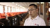 水塔醋业郭静：传承创新 让山西陈醋走向世界