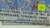 男生相亲吃饭建议AA被拉黑：一顿饭284元偏高，沟通平淡