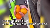 收费员因橘子不新鲜拒让货车过绿通，司机：没坏说坏了就是不免，付了999元才离开