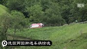 世界杯-14年-德国两国脚遇车祸惊魂 司机竟是F1赛车手罗斯伯格-新闻