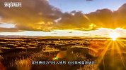 中国首套“无形哨兵”服役 一举抓获偷渡盗猎者 让边防固若金汤
