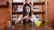 一元成本就能完成的DIY逗猫玩具，各位铲屎官快来了解一下吧！