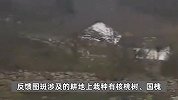 陕西丹凤回应“强砍3万多棵国槐树”事件：属违规占用永久基本农田