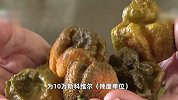 世界最辣辣椒至今只有5人尝过，英媒：堪比驱熊喷雾