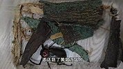 赞！4名小学生发现41年前曾灭绝的甲虫