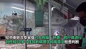 官方通报大熊猫“林惠”死因：系动脉硬化导致多器官功能衰竭