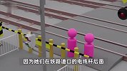 2中国女游客在日本被撞身亡，有自称家属的网友称死者刚考完研：求现场影像资料