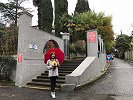 索契也是人文之都 拜访奥斯特洛夫斯基博物馆
