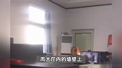 河北一镇政府行政服务中心工作人员上班玩游戏？官方：确有此事，已上报处理