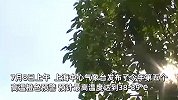 上海气温直逼40℃，来自卢旺达的非洲朋友喊热：不习惯不接受，老家才27℃
