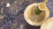 用树根煮出椰香的味道，市场上都难买，要亲自去挖！