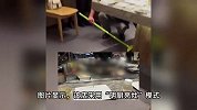 人均200元日料卫生堪忧？吃饭时老鼠脚边爬，一排顾客吓起立