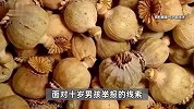 小学生做作业被爸爸批评，打110举报父亲在家藏毒，父亲：为治病私藏