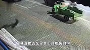 偷狗贼用饭团引诱狗狗失败后将其射杀带走，主人：很崩溃，已报警