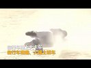 替身演员示范车祸瞬间 学生们看得胆战心惊_超清