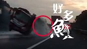 好多鱼！高速上两车在交警面前追尾 五千斤鲜活鲫鱼甩上了天