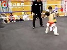 这俩孩子不到5岁吧，这么小就上擂台打比赛长大了可不得了