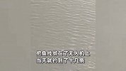 男子突发奇想用无人机钓鱼，足不出户钓到十几条鱼，当事人：不要轻易尝试