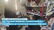 男子非法改造射钉枪打野猫被抓获-家中喂养鸽子常被咬伤