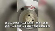 水喝起来有怪味！男子在饮水机中发现“巨型”蟑螂，还有若干蟑螂卵