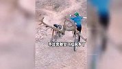 高人神操作 一个比一个牛啊