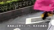 一夜速冻！阴冷+湿冷+风冷，广东人压箱底的羽绒服可以拿出来了