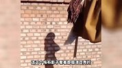 这小鸡站着睡觉就过分了啊 你昨天晚上干嘛去啦？