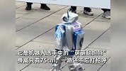 “刚出生”44天的机器人也来跑马拉松了！一路打招呼