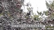 垮塌式降温！今冬来最强寒潮将横扫30余省区市，多地降温超20℃