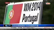 世界杯-14年-大象内莉再现预测 德国小组出线无疑-新闻