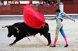 牛明明是色盲，为什么看到红色就格外兴奋？原来我们错了这么多年