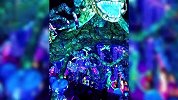 酷炫拽炸天！26米高唐装机甲兔现身四川自贡灯会